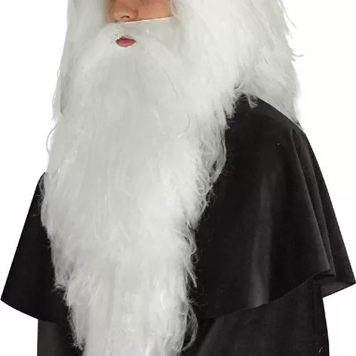 Photo du produit Barbe blanche longue adulte