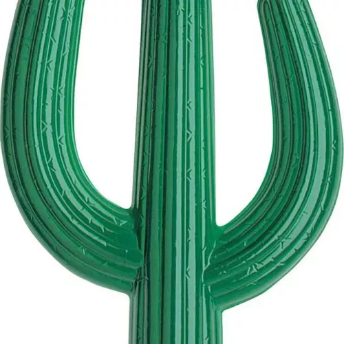 Photo du produit Cactus 36 X 62 cm