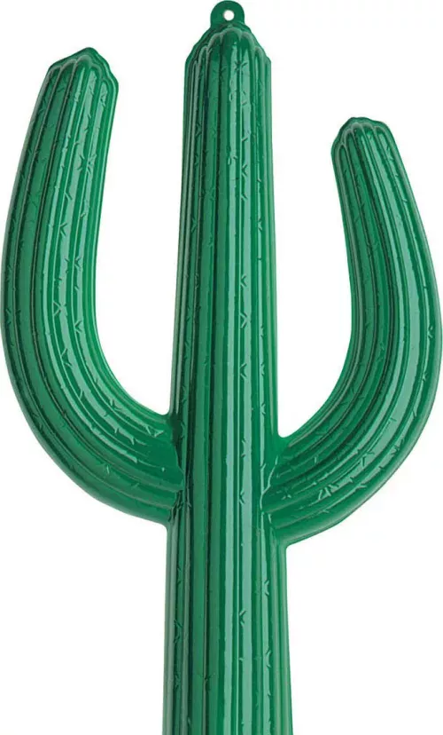 Photo du produit Cactus 36 X 62 cm