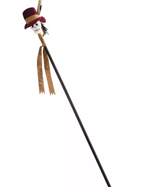 Photo du produit Canne vaudou 120 cm