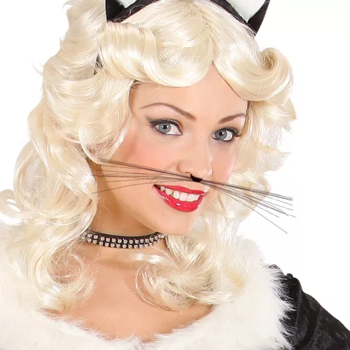 Photo du produit Moustache de chat noir adulte