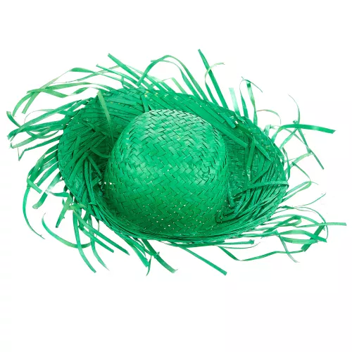 Photo du produit Chapeau Hawaï vert adulte