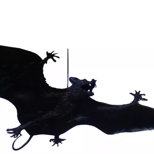 Photo du produit Chauve-souris à suspendre Halloween 23 cm