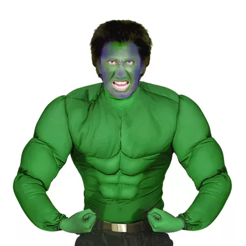 Photo du produit Chemise muscles verts adulte