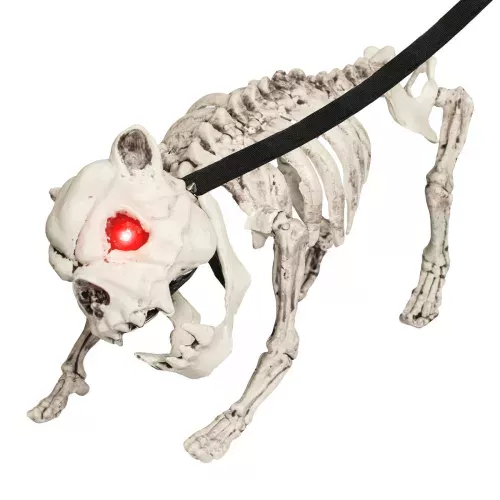Photo du produit Chien squelette en laisse lumineux et sonore
