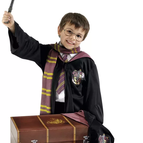 Photo du produit Déguisement et coffre Harry Potter enfant