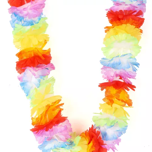 Photo du produit Collier Hawaï multicolore