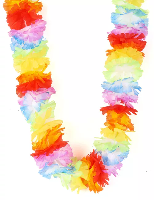 Photo du produit Collier Hawaï multicolore