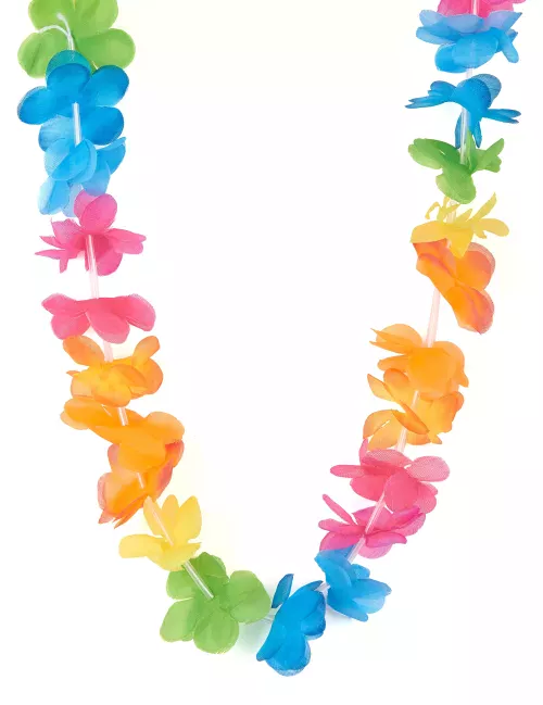 Photo du produit Collier Hawaï couleurs vives