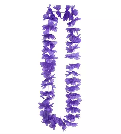 Photo du produit Collier Hawaï violet