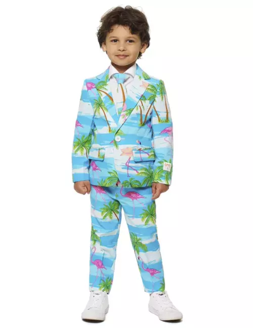 Photo du produit Costume Mr. Flamingo enfant Opposuits