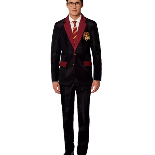 Photo du produit Costume Mr. Gryffondor adulte Suitmeister
