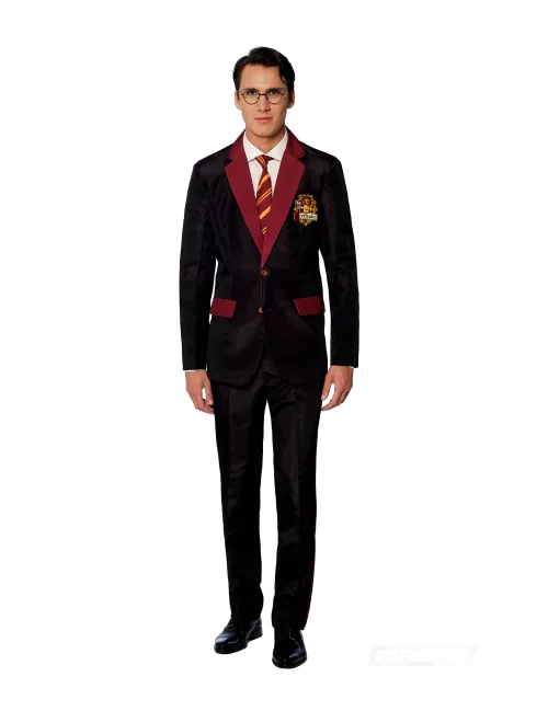 Photo du produit Costume Mr. Gryffondor adulte Suitmeister