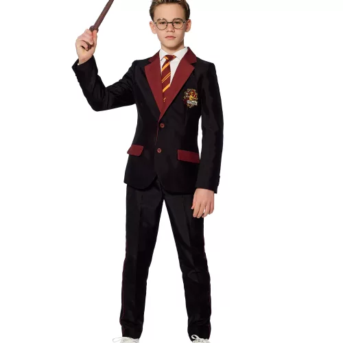 Photo du produit Costume Mr. Gryffondor enfant Suitmeister