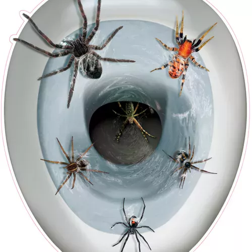 Photo du produit Décoration autocollante pour wc Araignées 30 x 43 cm
