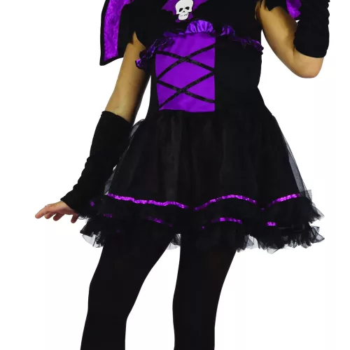 Photo du produit Déguisement chauve-souris noire et violette fille