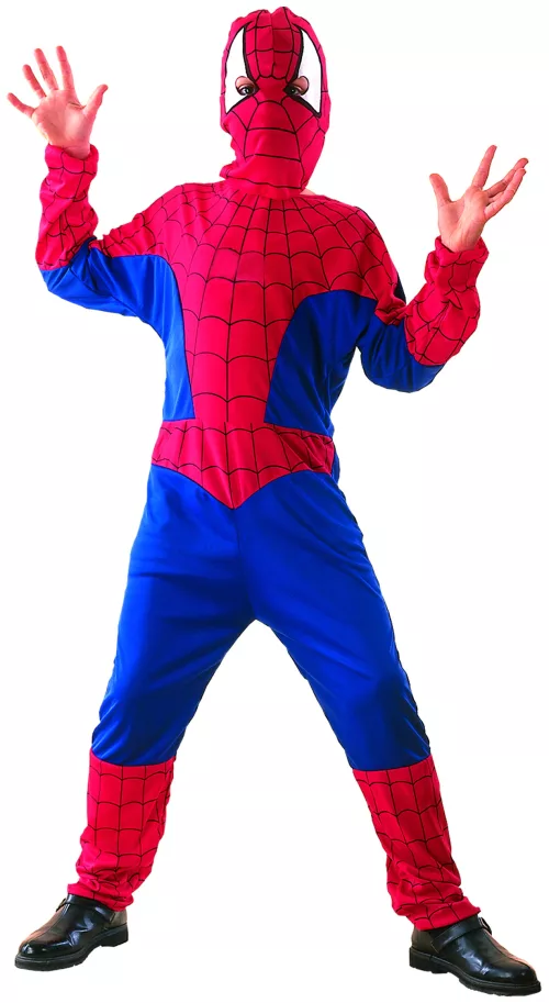 Photo du produit Déguisement homme araignée garçon