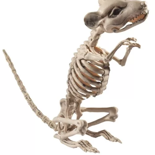 Photo du produit Décoration rat squelette Halloween