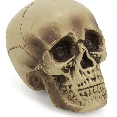 Photo du produit Décoration crâne plastique 18 cm