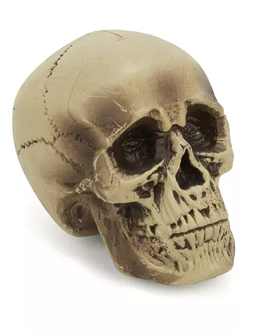 Photo du produit Décoration crâne plastique 18 cm