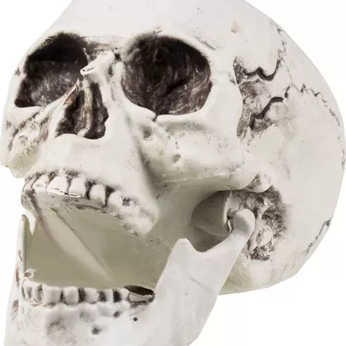 Photo du produit Décoration squelette 24 x 18 cm Halloween