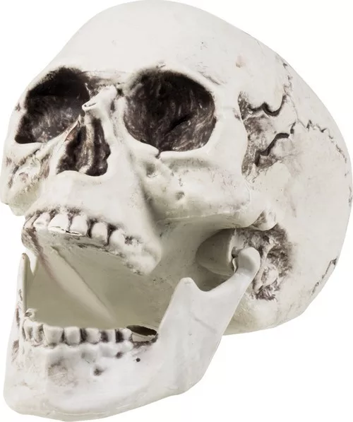 Photo du produit Décoration squelette 24 x 18 cm Halloween
