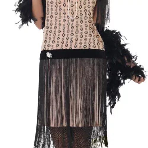 Photo du produit Déguisement années 20 charleston femme