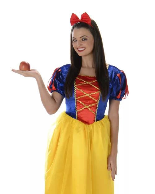 Photo du produit Déguisement princesse de conte de fée femme
