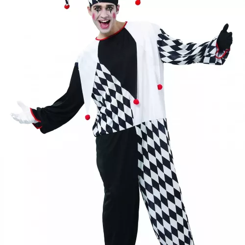 Photo du produit Déguisement bouffon homme