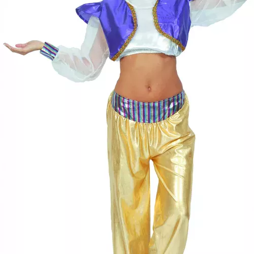 Photo du produit Déguisement danseuse orientale coloré femme