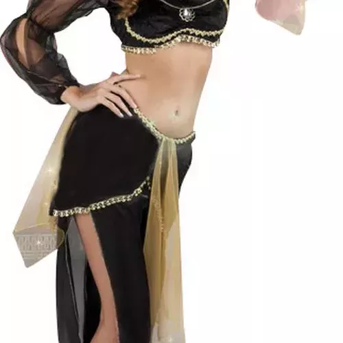 Photo du produit Déguisement danseuse orientale noir et or femme