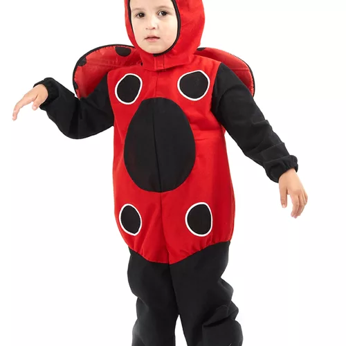 Photo du produit Déguisement coccinelle enfant