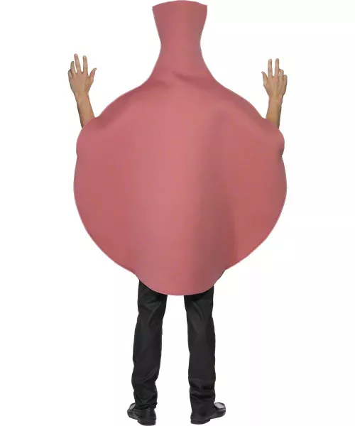 Photo du produit Déguisement coussin péteur adulte