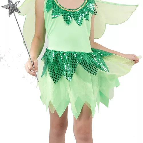 Photo du produit Déguisement fée verte voilage fille