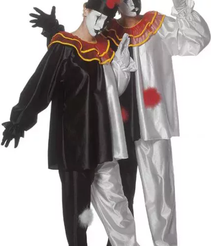 Photo du produit Déguisement pierrot adulte