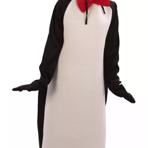 Photo du produit Déguisement pingouin humoristique enfant
