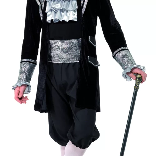 Photo du produit Déguisement baroque argenté homme
