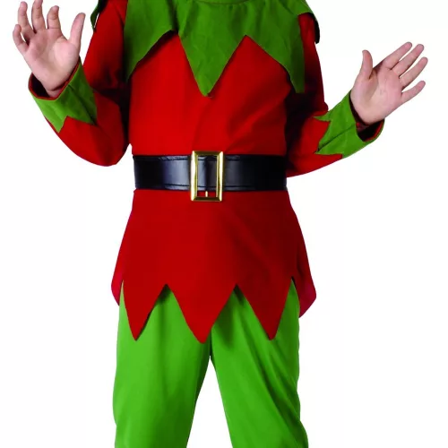 Photo du produit Déguisement elfe garçon