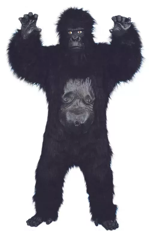 Photo du produit Déguisement gorille homme