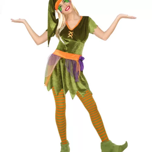 Photo du produit Déguisement lutin des bois femme
