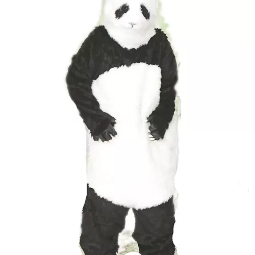 Photo du produit Déguisement panda adulte