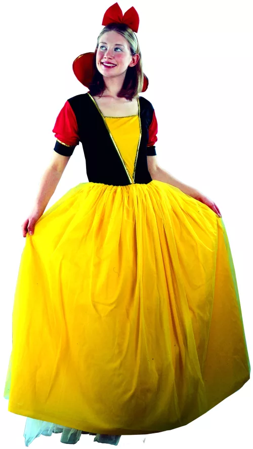 Photo du produit Déguisement princesse conte de fées femme