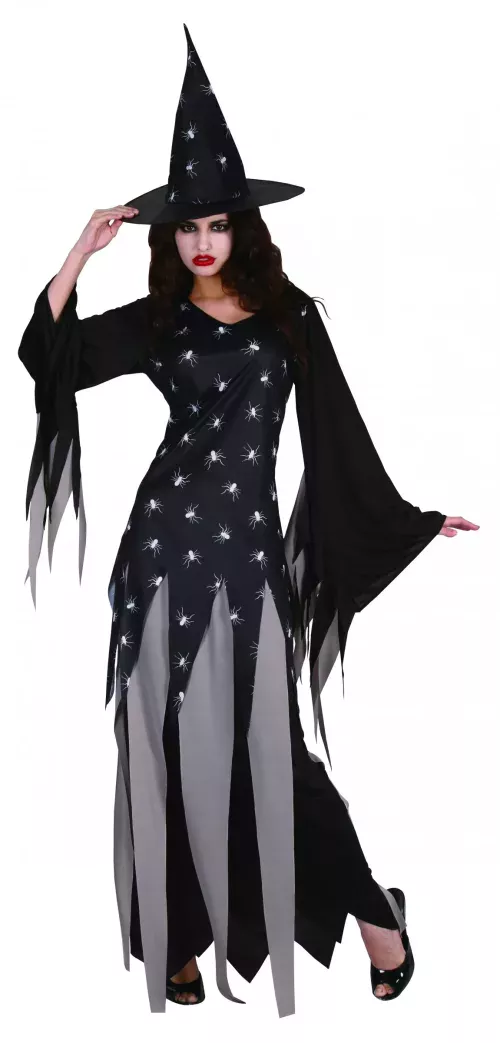 Photo du produit Déguisement sorcière terne femme Halloween