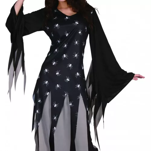 Photo du produit Déguisement sorcière terne femme Halloween