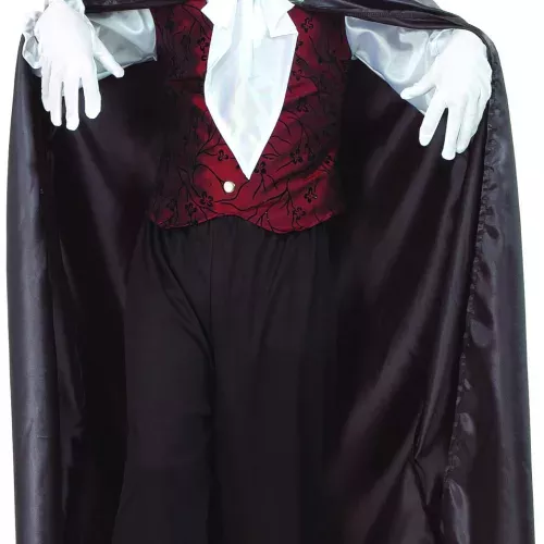 Photo du produit Déguisement vampire élégant garçon