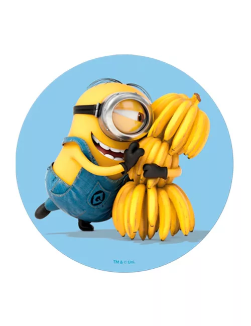 Photo du produit Disque azyme Minions 20 cm modèle aléatoire