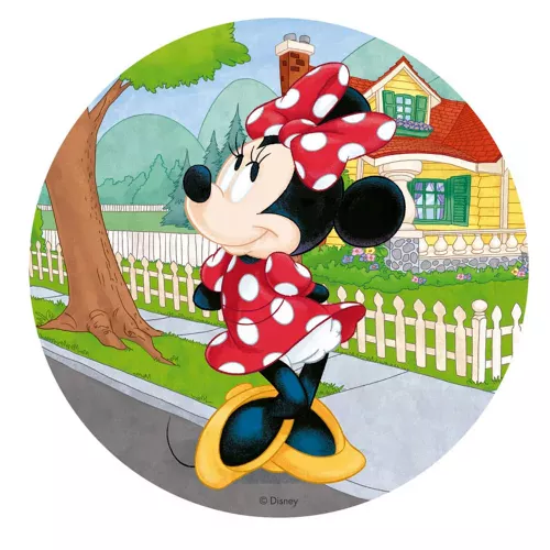 Photo du produit Disque en azyme Minnie 20 cm