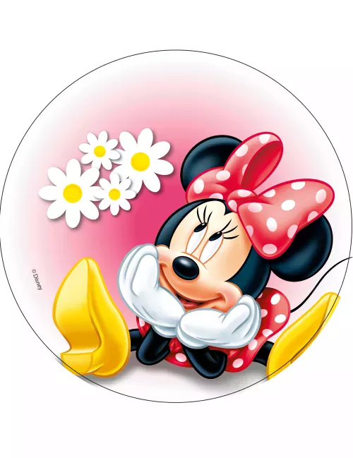 Photo du produit Disque en azyme Minnie modèle aléatoire 20 cm
