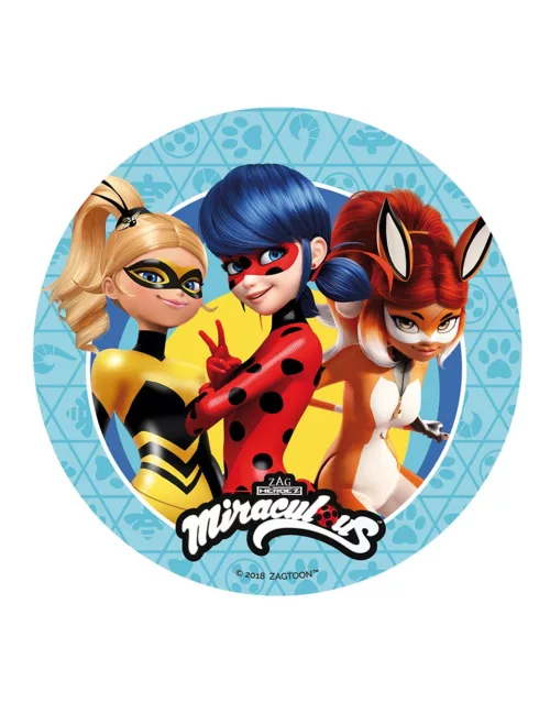 Photo du produit Disque en sucre Ladybug 20 cm