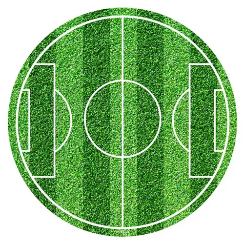 Photo du produit Disque en sucre terrain de foot